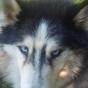 Meet your Posher, Teri